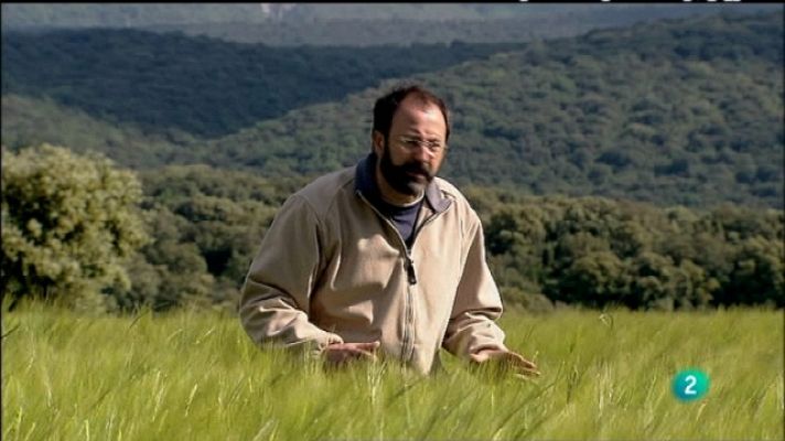 Biodiario - Biodiario - 04/09/11