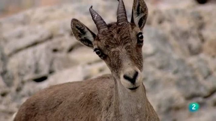 Biodiario - Biodiario - 06/09/11