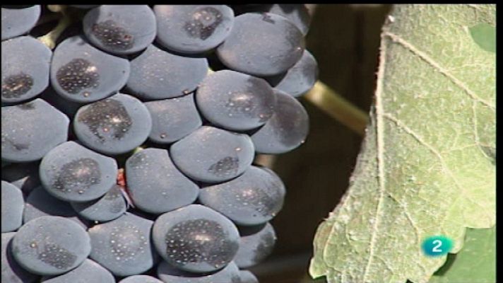 Agrosfera - Agrosfera - 10/09/11