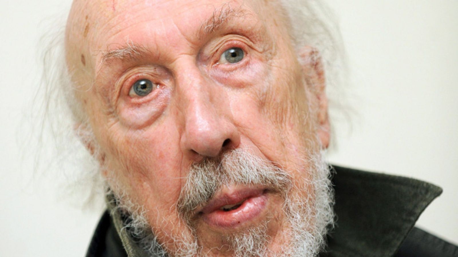 David Hamilton, pionero del 'pop art' muere en Reino Unido - Informativo 24h | Ver