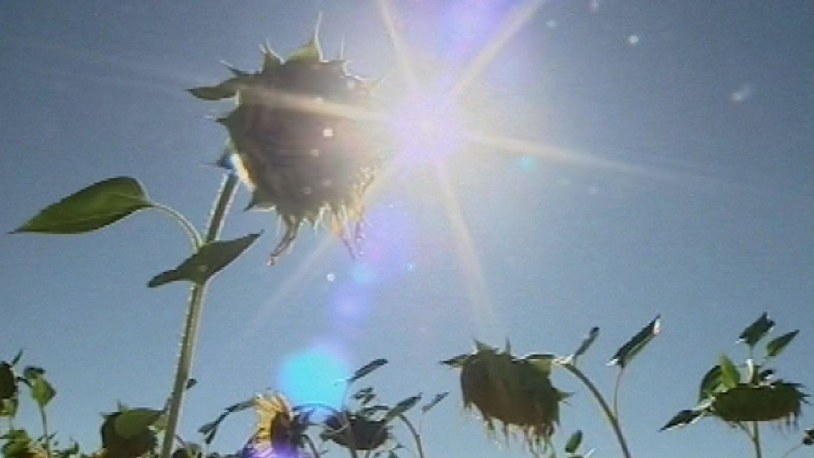 El agua embalsada en nuestro país está al 64 por ciento de su capacidad