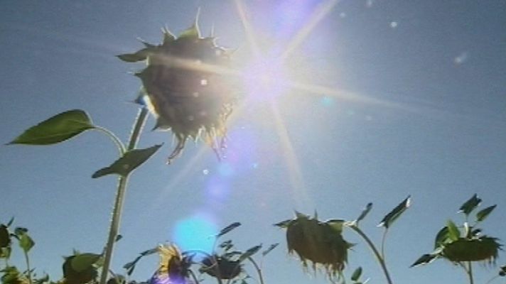 Telediario 1 - Embalses al 64% de capacidad