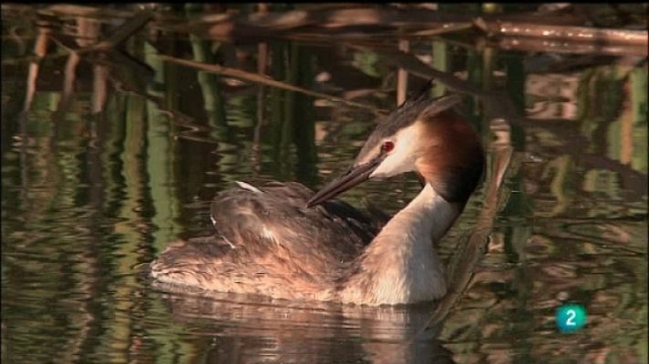 Biodiario - Biodiario - 14/09/11