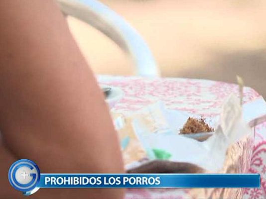 +Gente - Prohibido fumar porros