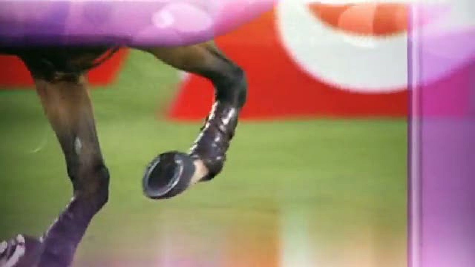 Hípica. Campeonato de Europa de saltos. Final equipos 1ª ronda y Clasificación individual 2ª ronda. Grupo 2 - 15/09/11 - Ver ahora