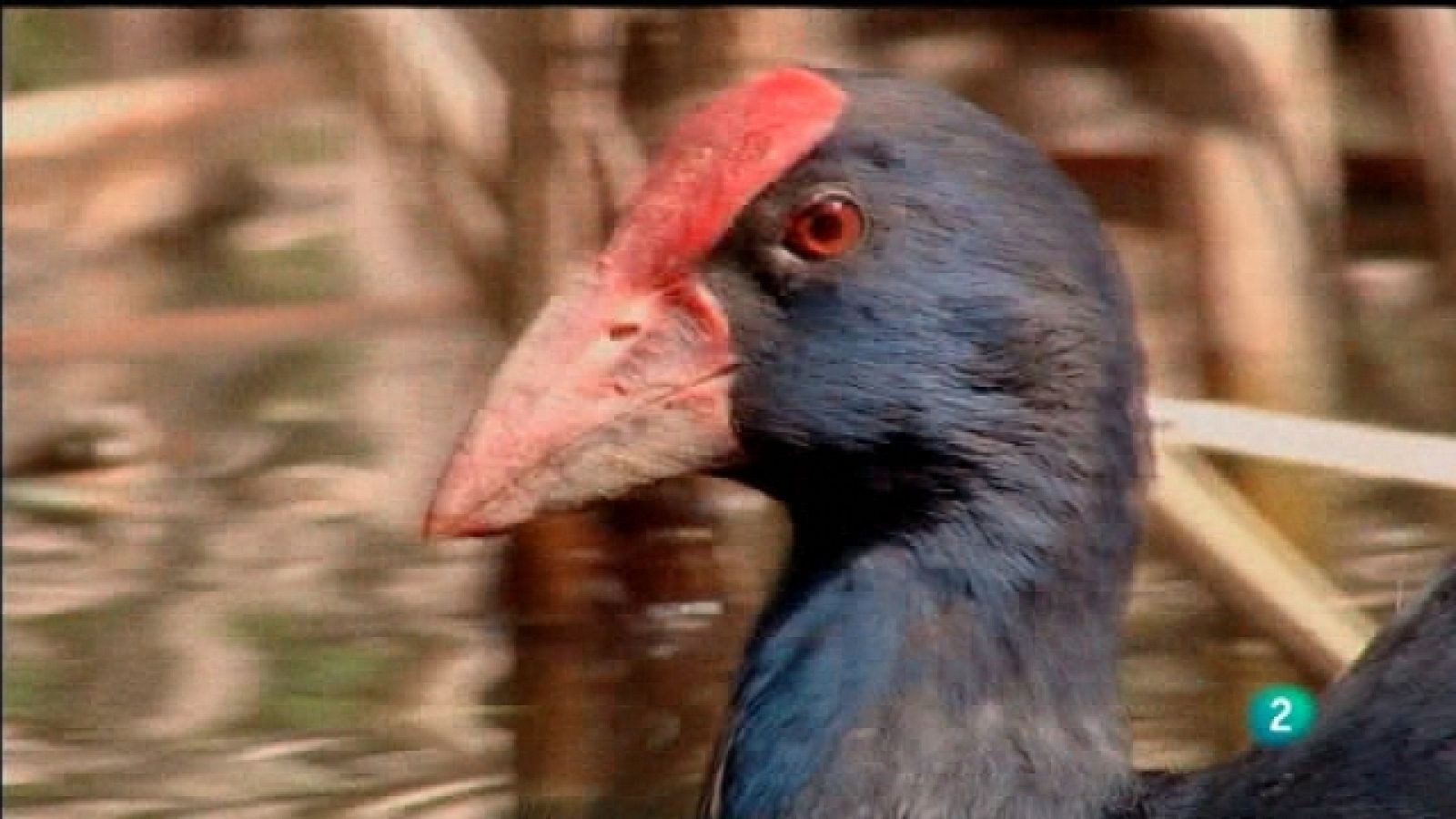 Biodiario - 15/09/11