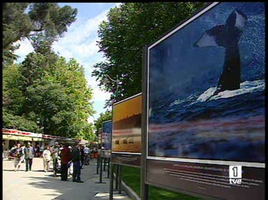  - Fotos en la Feria del Libro