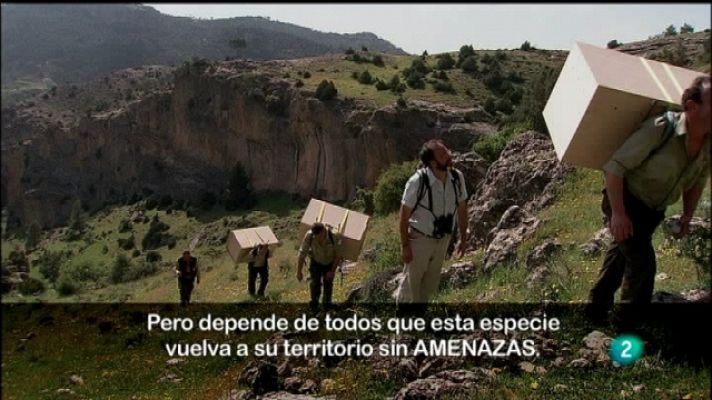 Biodiario - Biodiario - 16/09/11