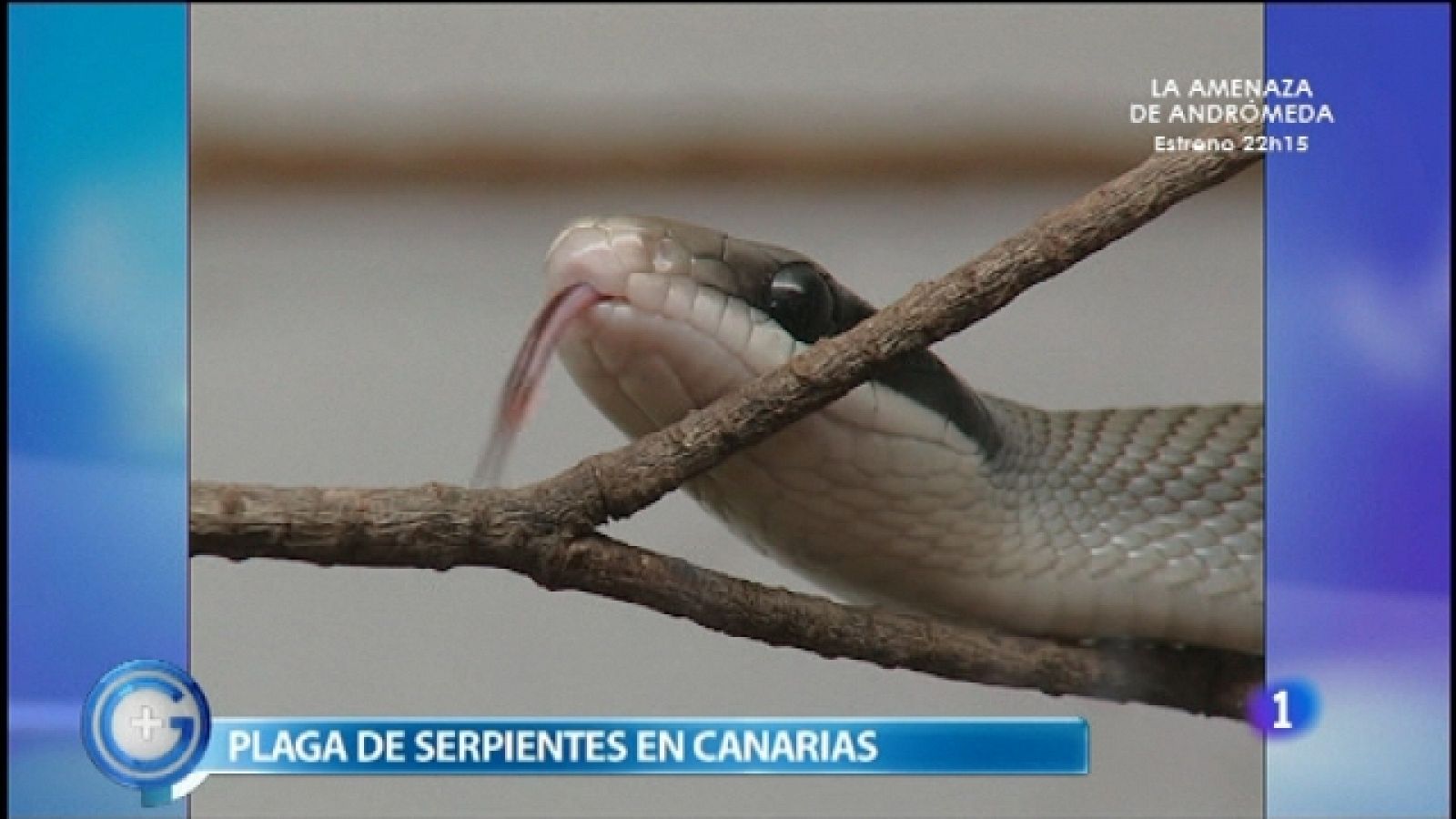 Más Gente - 16/09/11 - Ver ahora