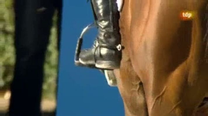 Hípica - Hípica. Campeonato Europa Saltos 6