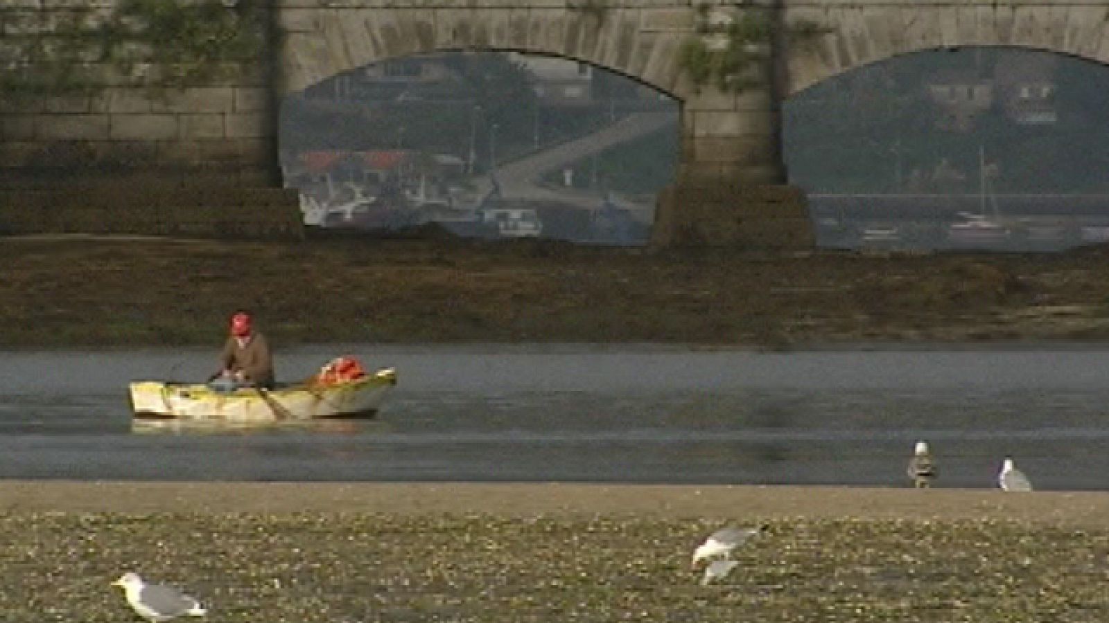 "Marea roja" en Galicia