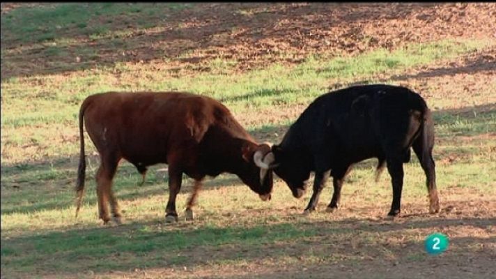 Biodiario - Biodiario - 17/09/11