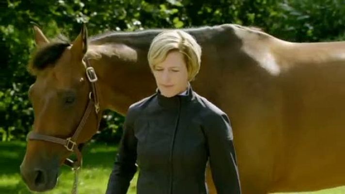 Hípica - Hípica. Campeonato Europa Saltos 7