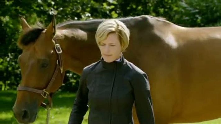 Hípica - Hípica. Campeonato Europa Saltos 8