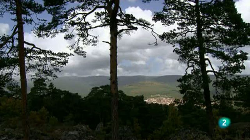 La aventura del saber. Reportaje: Bosque de Urbión | Ver