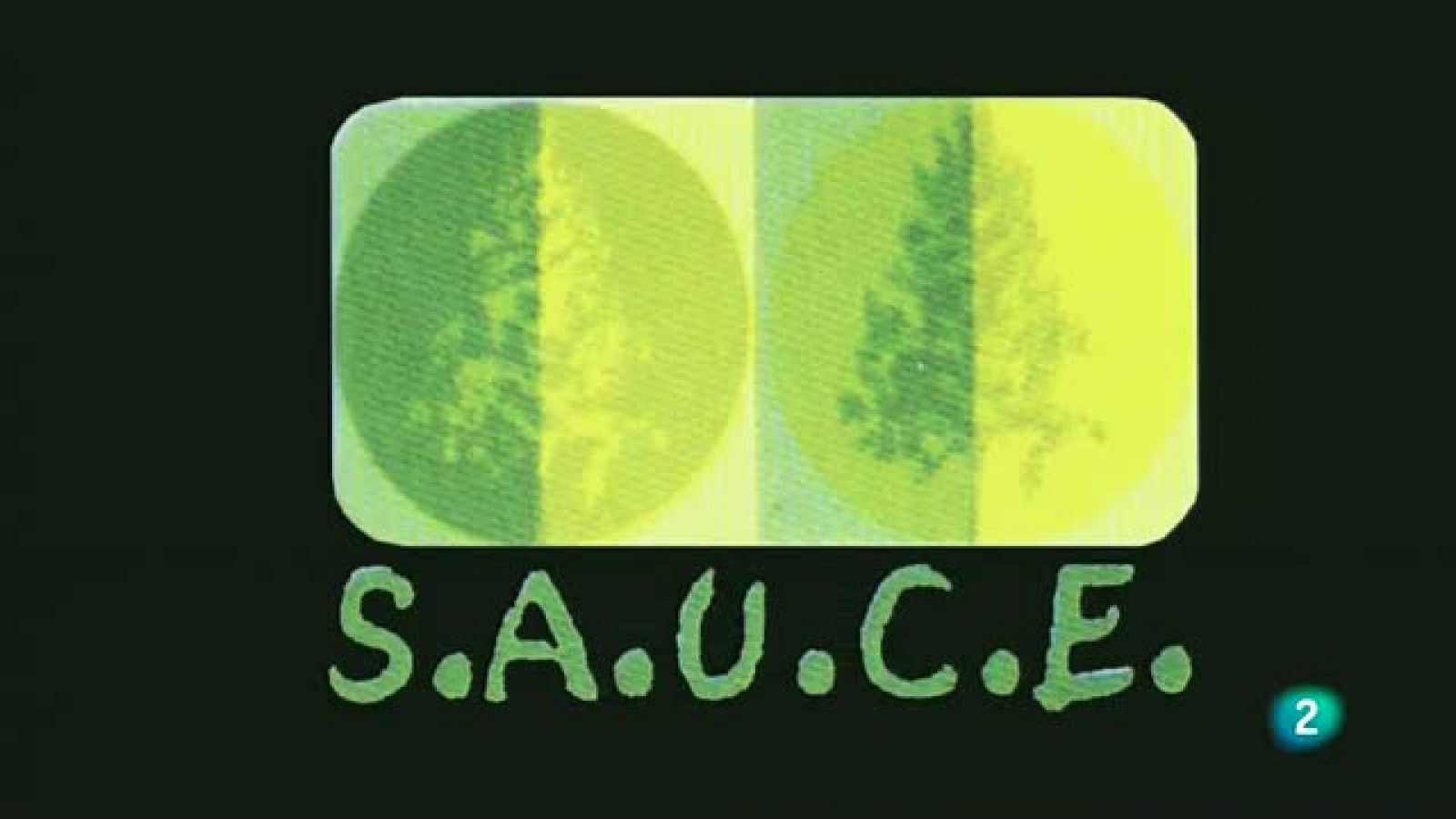 La aventura del saber. Reportaje: ONG Sauce