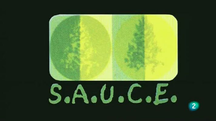 La aventura del Saber - Reportaje: ONG Sauce