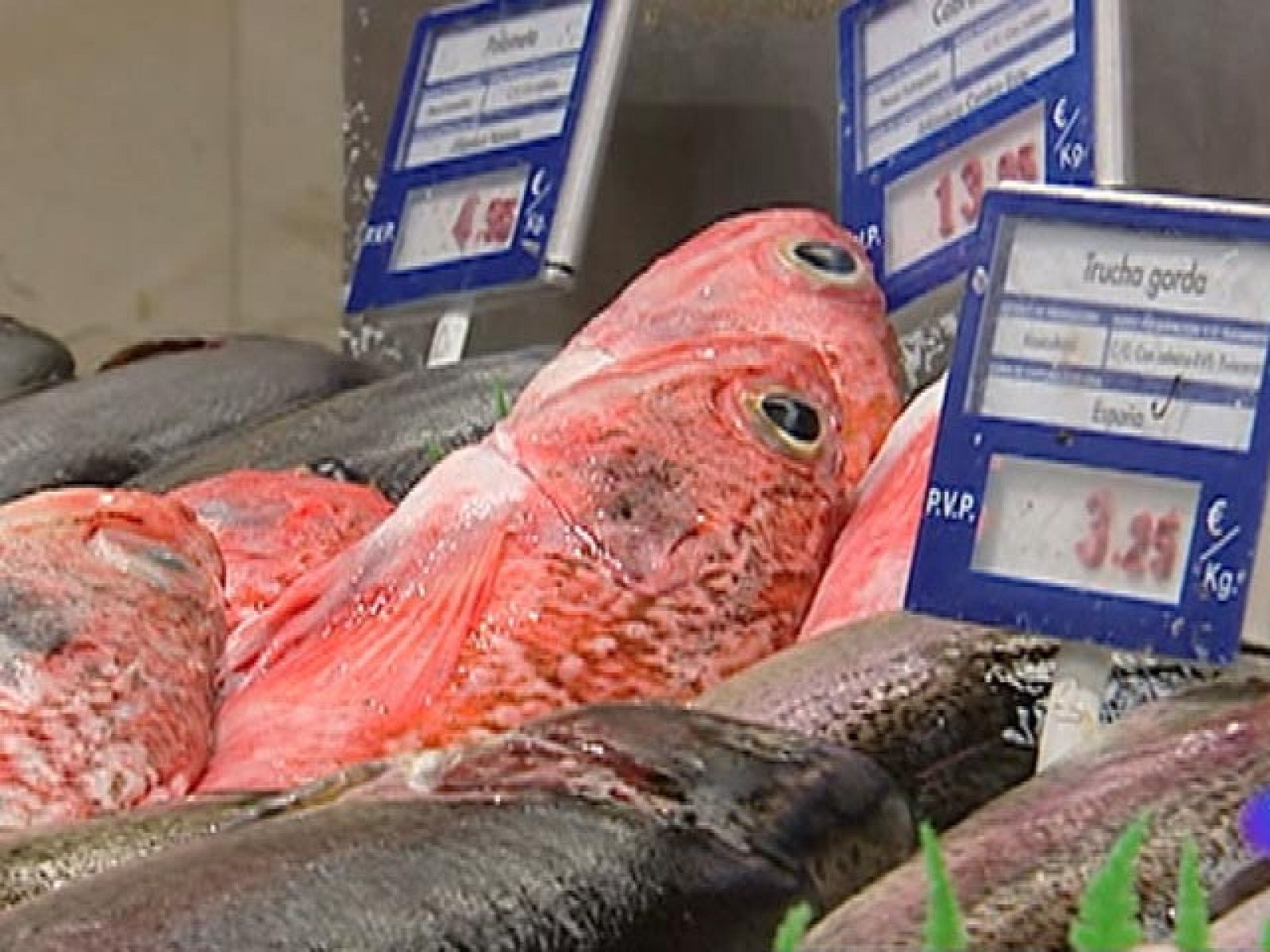 Más Gente - Trucos para ahorrar en la cuesta de septiembre