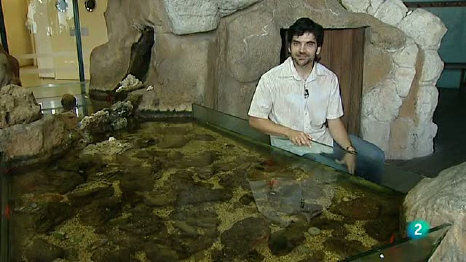 La aventura del saber. Experimentos Cosmocaixa: "Crustáceos"