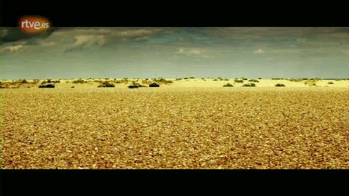 Miradas 2 - Anna Calvi interpreta Desire