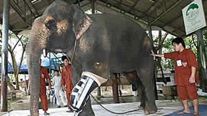 On Off - Vidas minadas