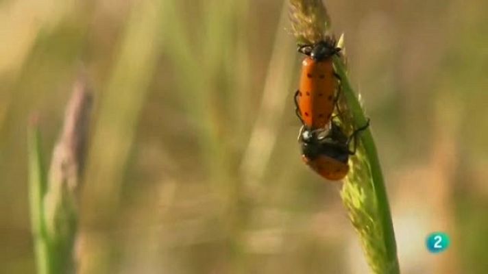 Biodiario - Biodiario - 22/09/11