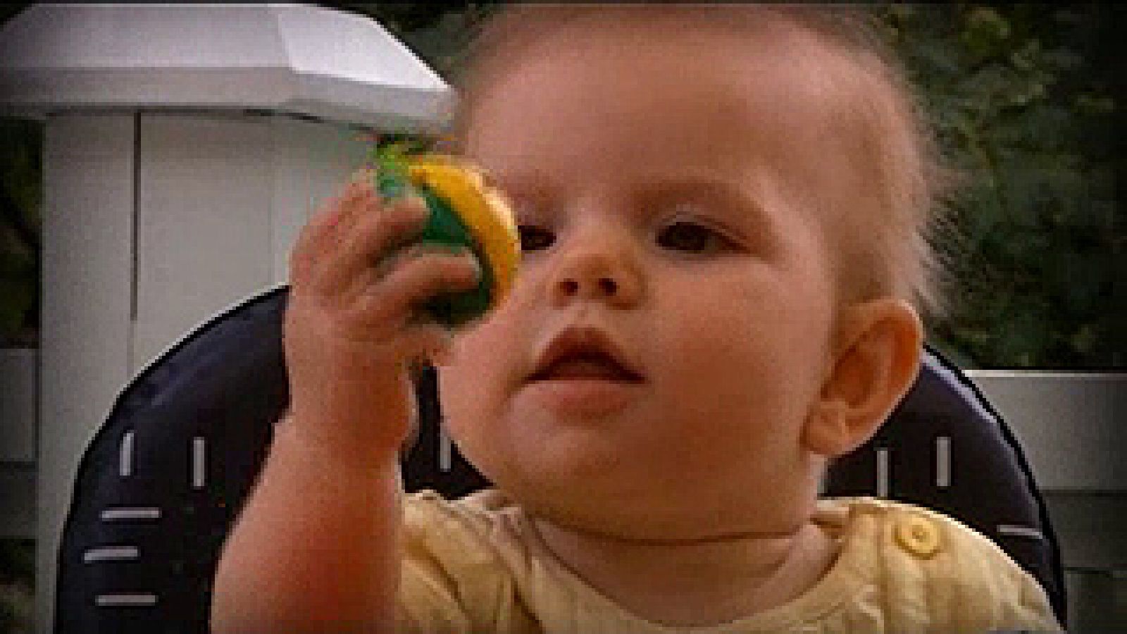 Conexión Educativa.