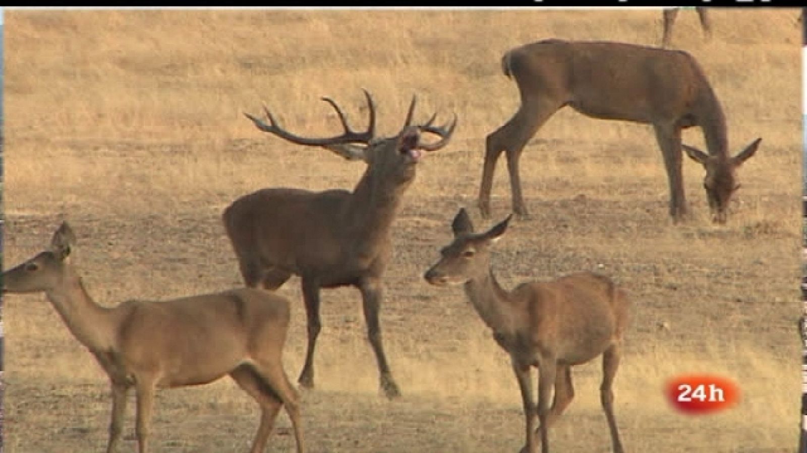 España en 24 horas - 23/09/11 - Ver ahora