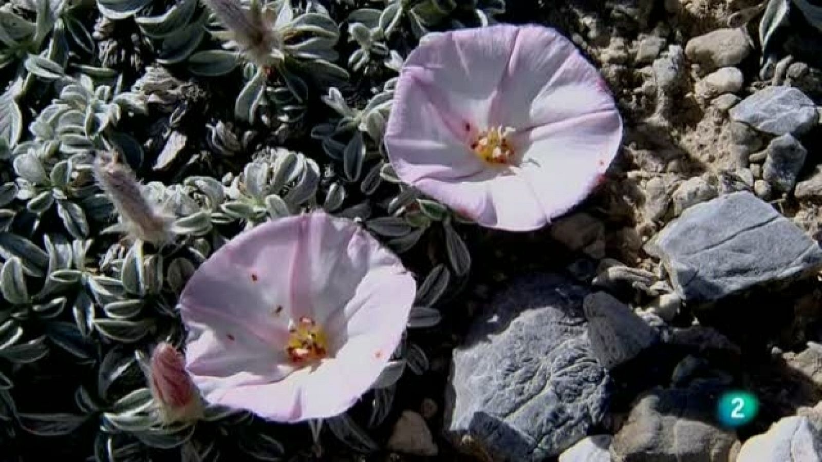 Biodiario - 25/09/11 - Ver ahora