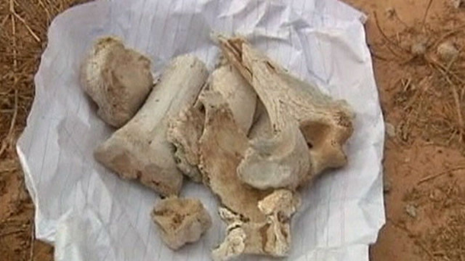 Descubierta en Libia una fosa común con mas de 1200 cádaveres