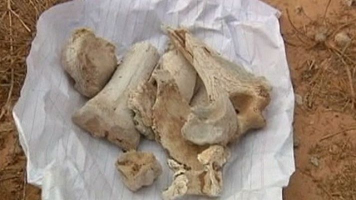 Telediario 1 - Fosa Común en Libia