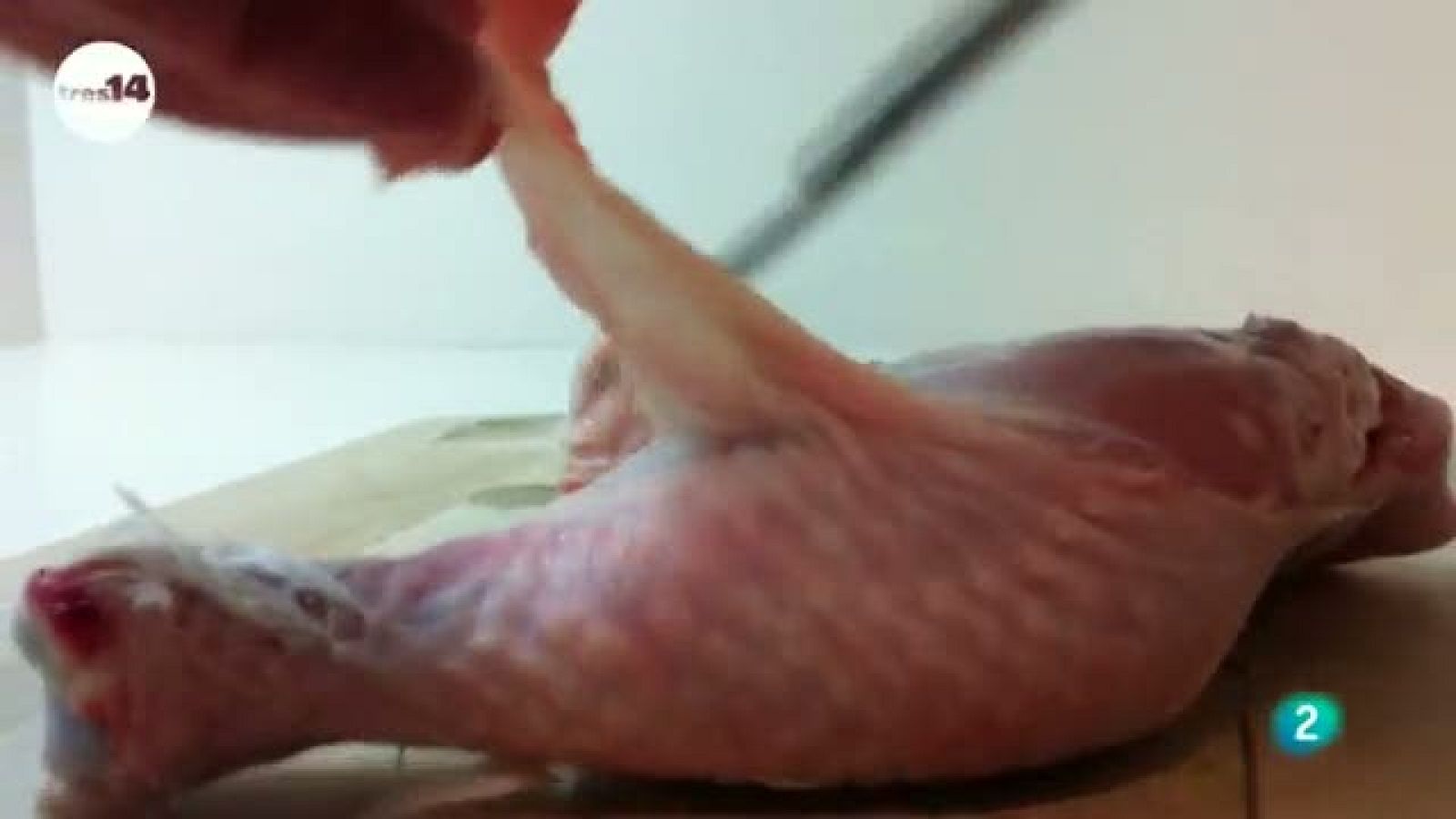 tres14 - curiosidades científicas - Dieta neandertal