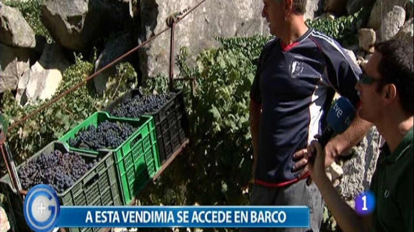 Más Gente - A esta vendimia hay que ir en barco