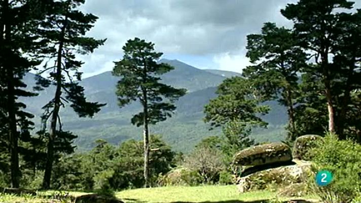 La aventura del Saber - Paseo didáctico por Valsaín