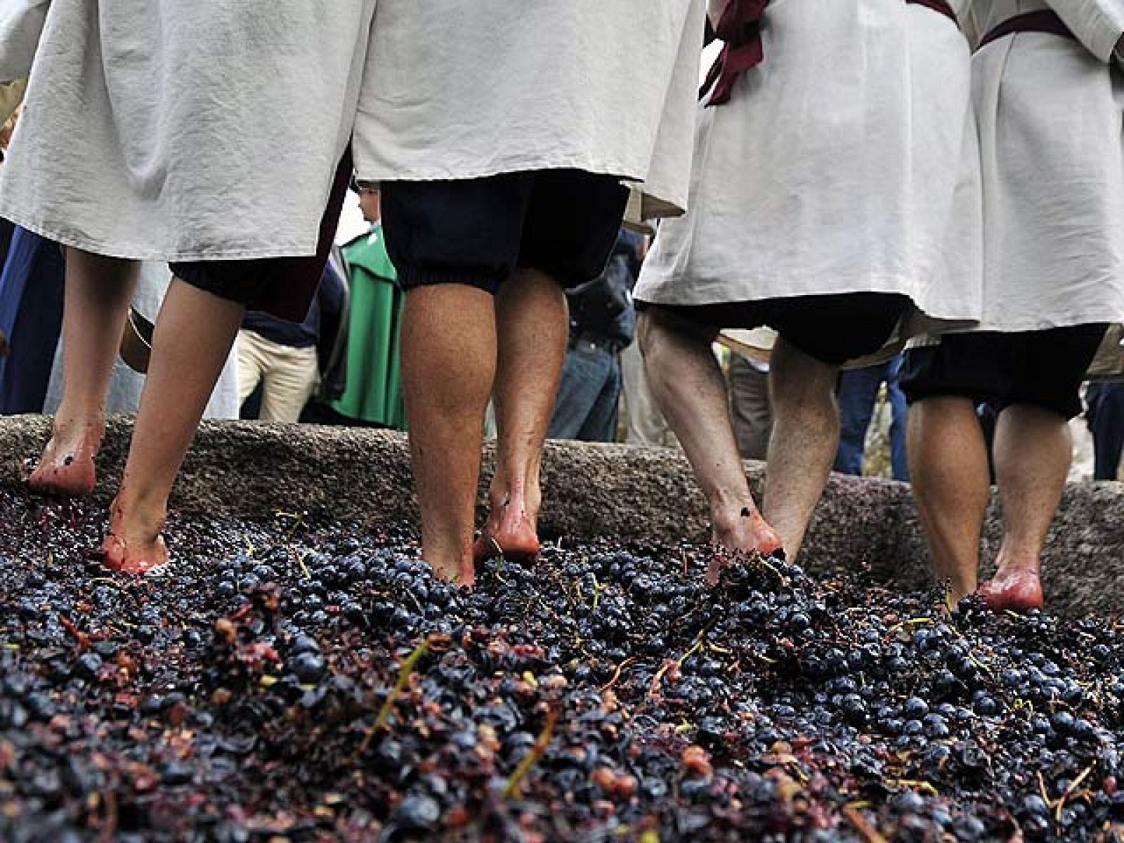 La vendimia, negocio familiar y hobby