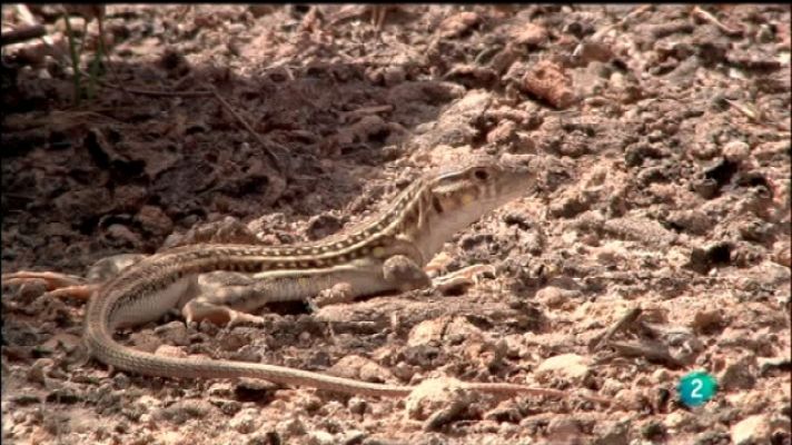 Biodiario - Biodiario - 27/09/11