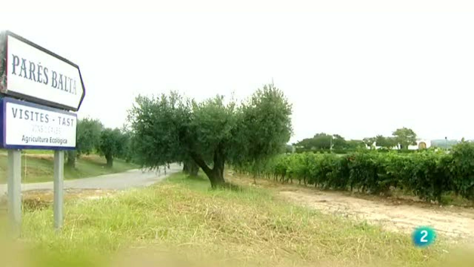 Continuarà - La Masia Parés Baltà