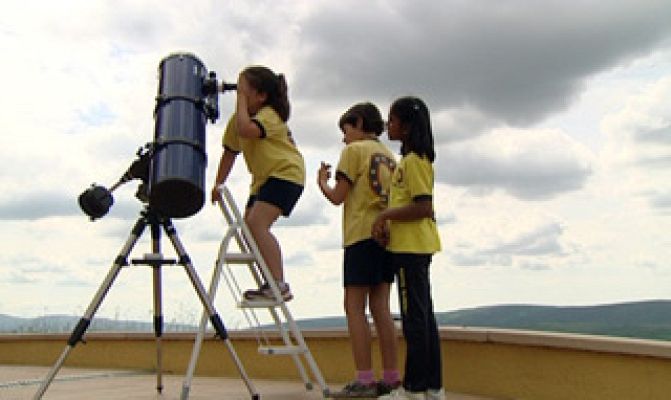 El escarabajo verde - El coleccionista de estrellas