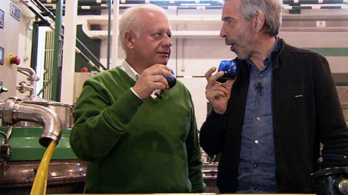 Un país para comérselo - Jaén. A los olivaritos voy por las tardes