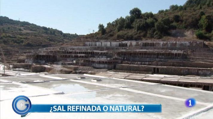 +Gente - ¿Sal refinada o natural?