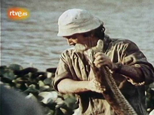 Para todos la tele - Félix Rodríguez de la Fuente