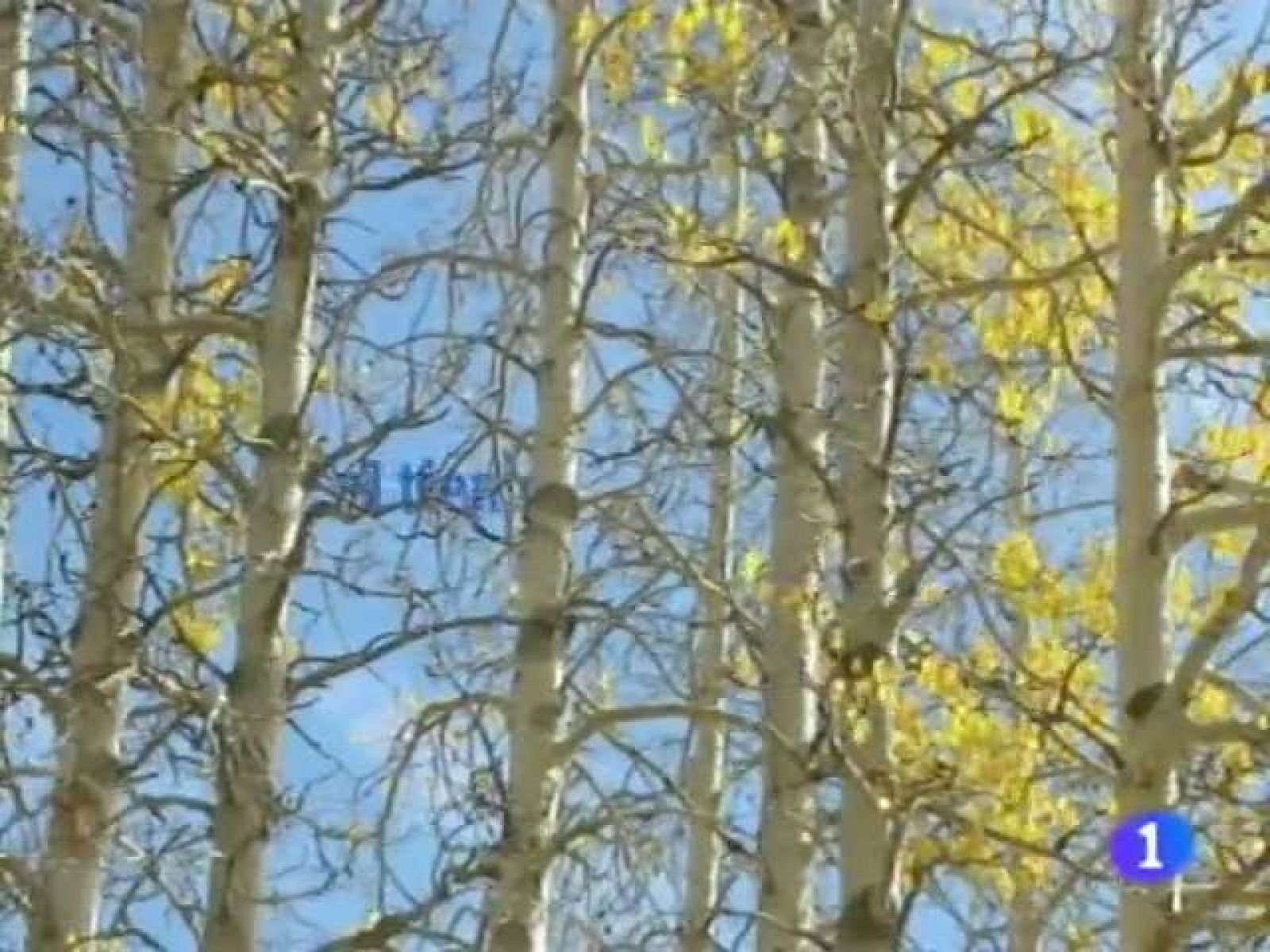 El tiempo en Andalucía 29/09/11 | Ver