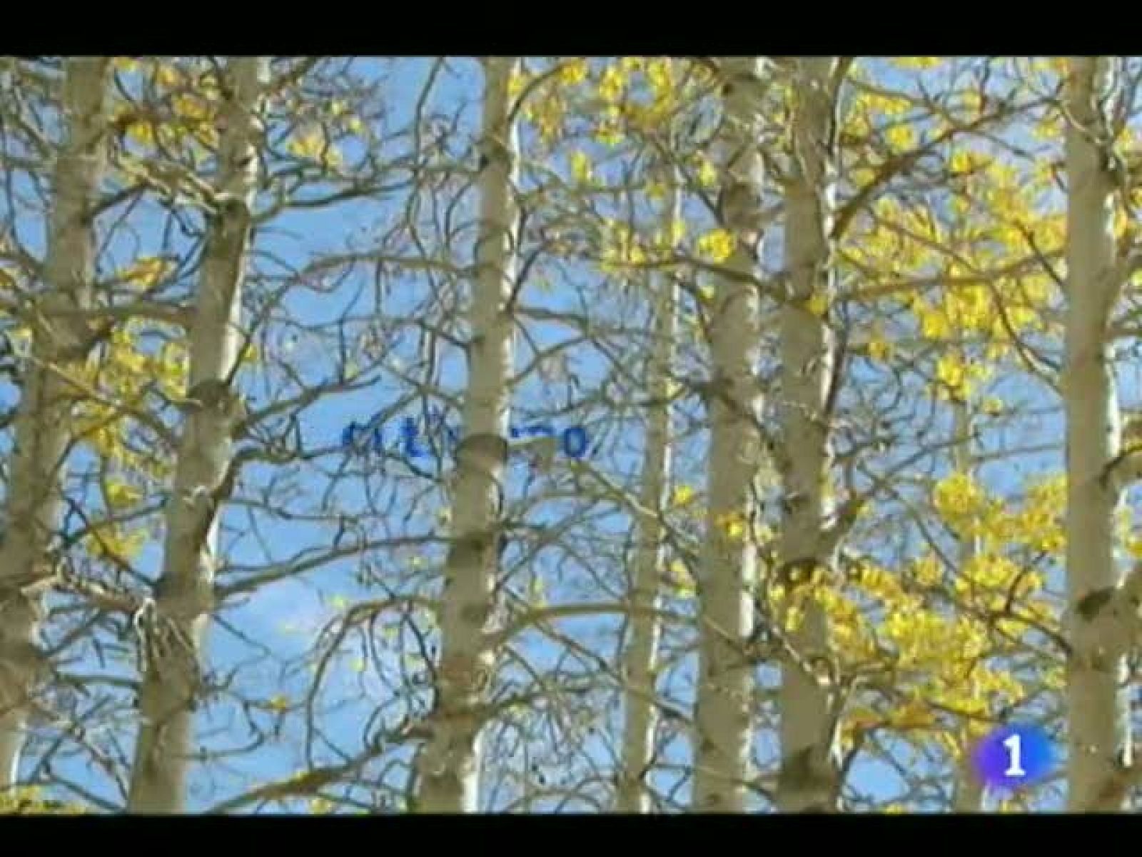 El tiempo en Canarias - 29/09/11 | Ver