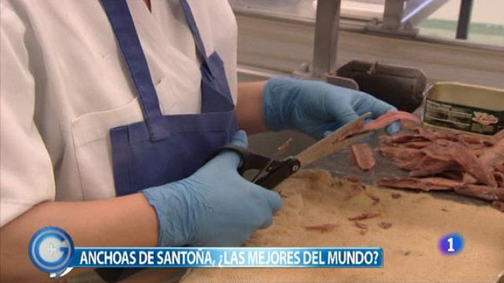 +Gente - Anchoas de Santoña ¿Las mejores?