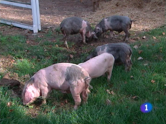 Panorama Regional - Panorama Regional 30-09-2011