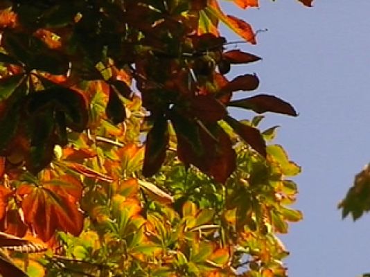 El tiempo - Lluvias fuertes en los litorales de la Comunidad Valenciana y Murcia