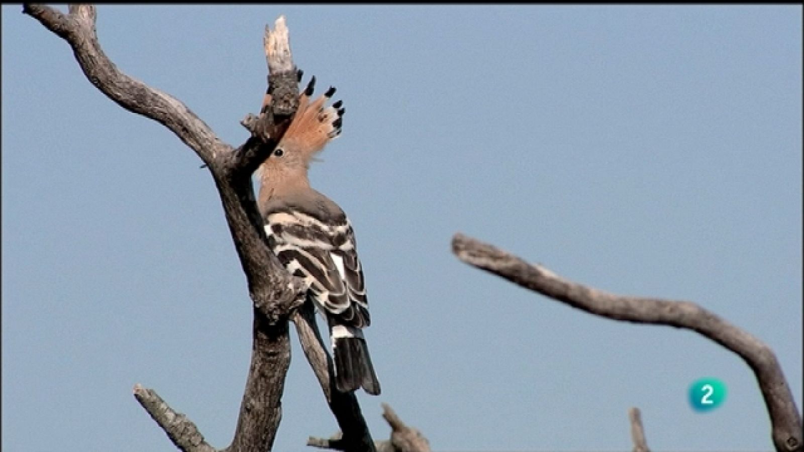 Biodiario - 30/09/11 - Ver ahora