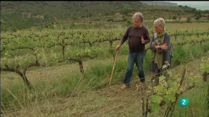 El escarabajo verde - Permacultura. ¿Perma... qué?