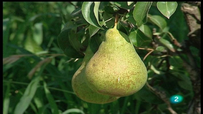 Agrosfera - Agrosfera - 01/10/11