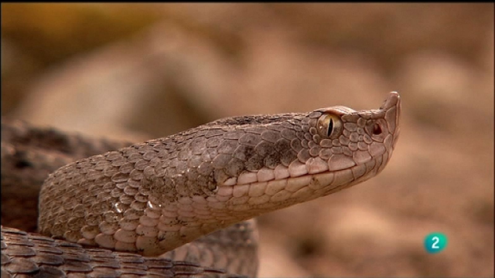 Biodiario - 02/10/11 - Ver ahora